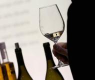 Stefàno presenta ddl per insegnare ‘Storia e civiltà del vino’ a scuola. La polemica