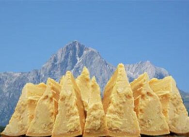 Nasce il “Parmigiano Reggiano di Montagna” con 700.000 forme