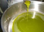 Approvato il Piano Olivicolo Un successo targato Puglia