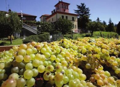 La Scolca al Vinitaly con i 90 punti di Wine Spectator