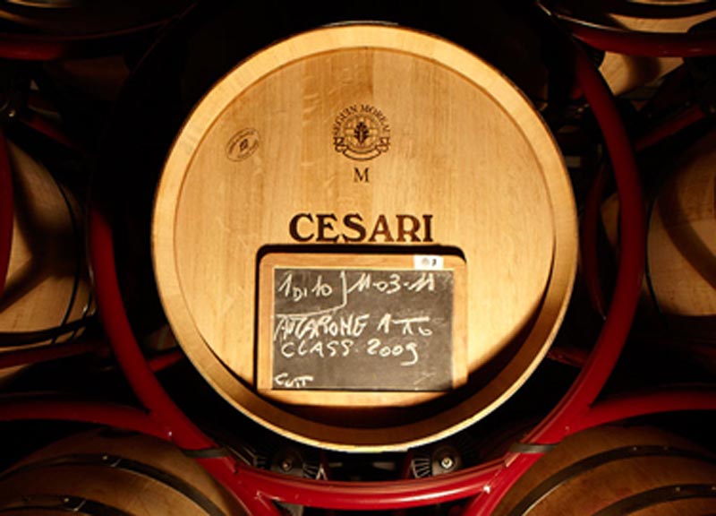 Vinitaly: premio five star wines per Gerardo Cesari Vinitaly: premio five star wines per Gerardo Cesari