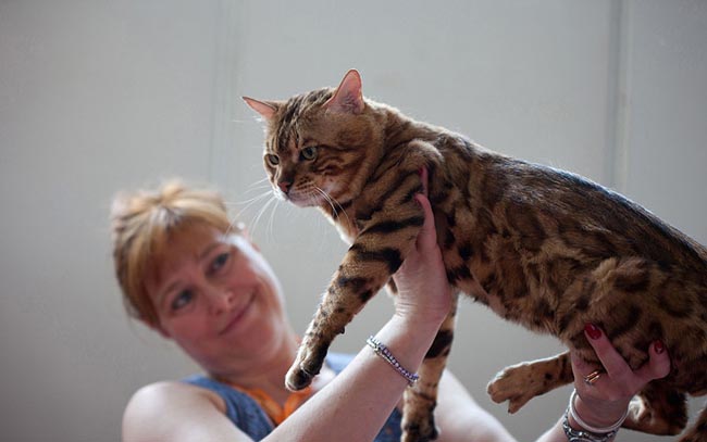 Italiani popolo pet friendly, nelle nostre case 60 milioni di animali