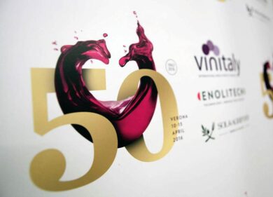 Nasce Equalitas per garantire la sostenibilità nel mondo del vino