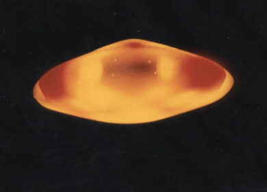 “C’è un Ufo sul mare”: Il video choc scalda il convegno di Pomezia