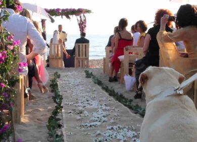 “Ho sposato una vegana”… Ora mamma. “La mia gravidanza”, Claudia Zanella racconta