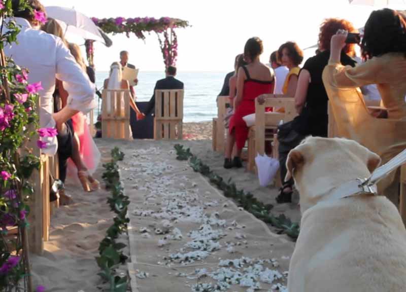 “Ho sposato una vegana”… Ora mamma. “La mia gravidanza”, Claudia Zanella racconta “Ho sposato una vegana”… Ora mamma. “La mia gravidanza”, Claudia Zanella racconta