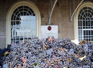 Lambrusco a Palazzo 2016: sulle tracce dei vini benedettini