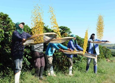 Barista & Farmer: talent show dedicato al caffè