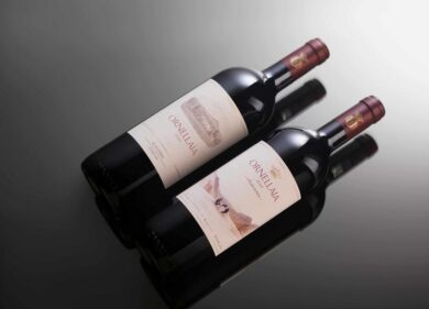 Ornellaia 2013: caratteristica principale l’eleganza