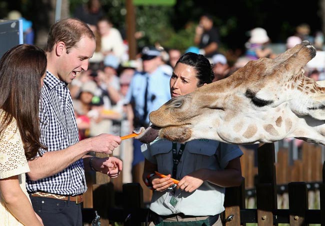 Kate Middleton e William, così hanno rifatto il look alla monarchia Kate Middleton e William, così hanno rifatto il look alla monarchia