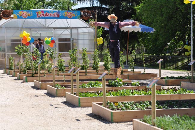 Masha, Thomas e… ambiente: Leolandia fa 45 e festeggia con nuove attrazioni e l’orto didattico Masha, Thomas e… ambiente: Leolandia fa 45 e festeggia con nuove attrazioni e l’orto didattico
