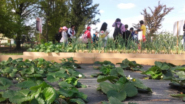 Masha, Thomas e… ambiente: Leolandia fa 45 e festeggia con nuove attrazioni e l’orto didattico Masha, Thomas e… ambiente: Leolandia fa 45 e festeggia con nuove attrazioni e l’orto didattico
