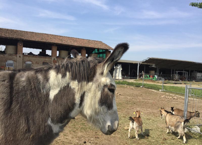 Quando l’agriturismo vale il viaggio siamo a Ca’ del Galimba