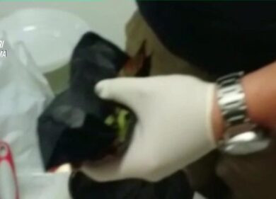 Shaboo, sequestro da record. 2,2 kg della droga dei cannibali