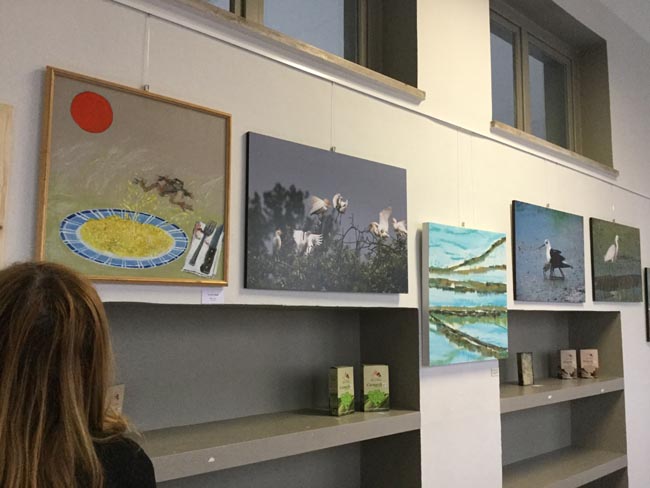 “Riso e Rane” unisce arte e territorio agricolo
