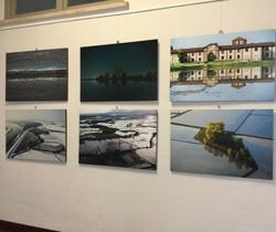“Riso e Rane” unisce arte e territorio agricolo