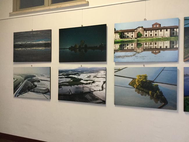 “Riso e Rane” unisce arte e territorio agricolo