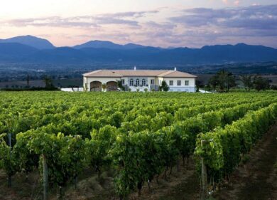 Cantine aperte: da Lungarotti esperienza olistica