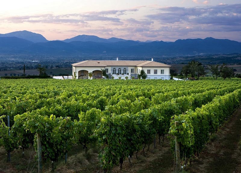 Cantine aperte: da Lungarotti esperienza olistica Cantine aperte: da Lungarotti esperienza olistica