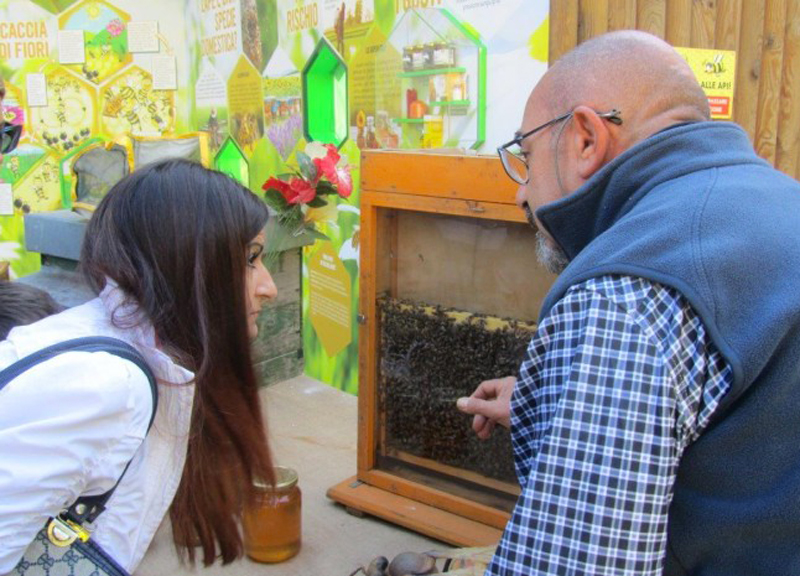 Cervi volanti e insetti foglia invadono il Bioparco: micromondo show Cervi volanti e insetti foglia invadono il Bioparco: micromondo show