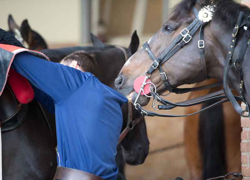 Lo Stato Maggiore racconta i corazzieri. LE IMMAGINI ESCLUSIVE
