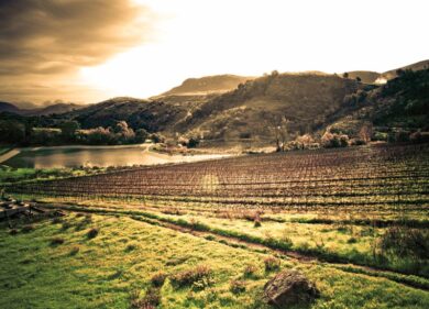 Baglio di Pianetto, la Sicilia che incanta con il vino