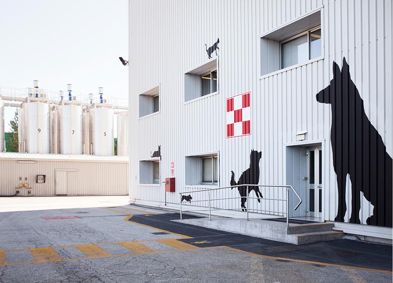 Purina compie trent’anni e svela i segreti del Pet Food Purina compie trent’anni e svela i segreti del Pet Food