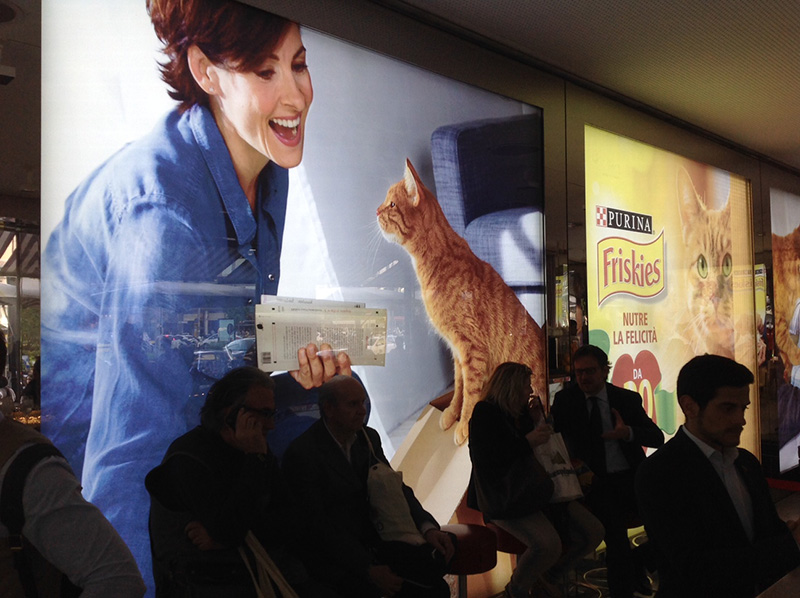 Purina compie trent’anni e svela i segreti del Pet Food Purina compie trent’anni e svela i segreti del Pet Food