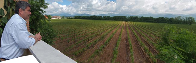 Le Marchesine: innovazione sui 48 ettari in Franciacorta