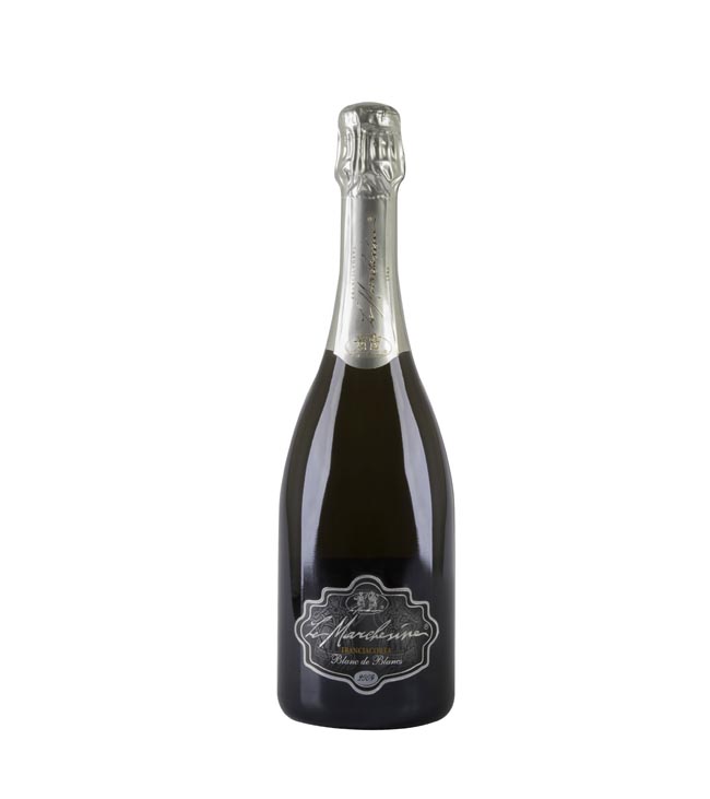 Le Marchesine: innovazione sui 48 ettari in Franciacorta