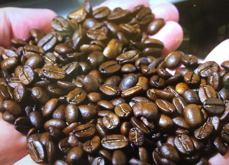 Da Portorico arriva in Italia Anima Nera: caffè dei caffè