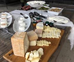 agribrunch in fattoria (15)