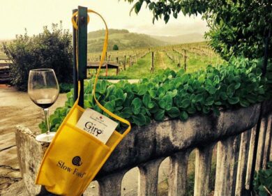 Cantine a Nord Ovest: il vino secondo Slow Food