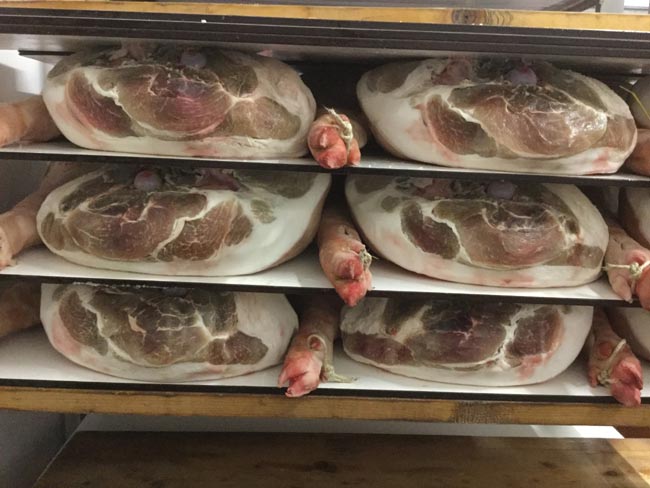 Bilancio positivo per la 32^ edizione di  Aria di Festa 2016