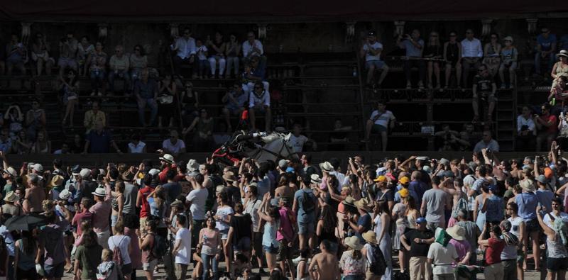Palio Siena: vince la Lupa (all’ultima curva) dopo 27 anni Palio Siena: vince la Lupa (all’ultima curva) dopo 27 anni