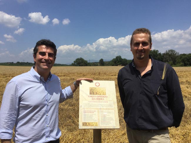 Dalla mietitura dell’orzo alla birra: ecco il viaggio del gusto Dalla mietitura dell’orzo alla birra: ecco il viaggio del gusto