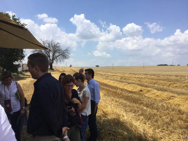 Dalla mietitura dell’orzo alla birra: ecco il viaggio del gusto Dalla mietitura dell’orzo alla birra: ecco il viaggio del gusto