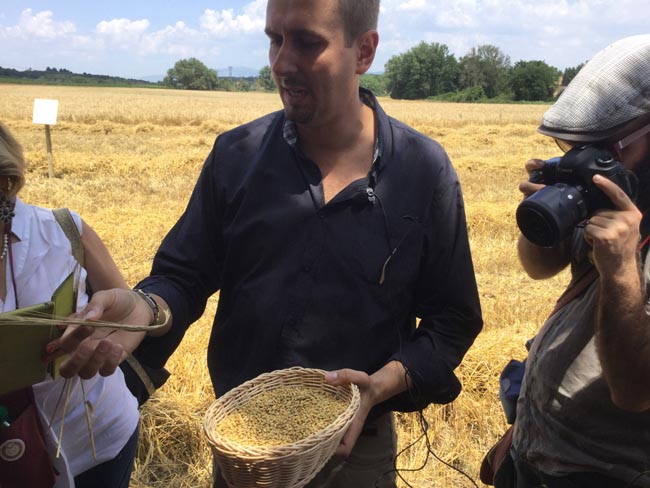 Dalla mietitura dell’orzo alla birra: ecco il viaggio del gusto Dalla mietitura dell’orzo alla birra: ecco il viaggio del gusto