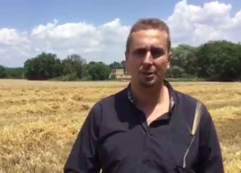 Dalla mietitura dell’orzo alla birra: ecco il viaggio del gusto Dalla mietitura dell’orzo alla birra: ecco il viaggio del gusto