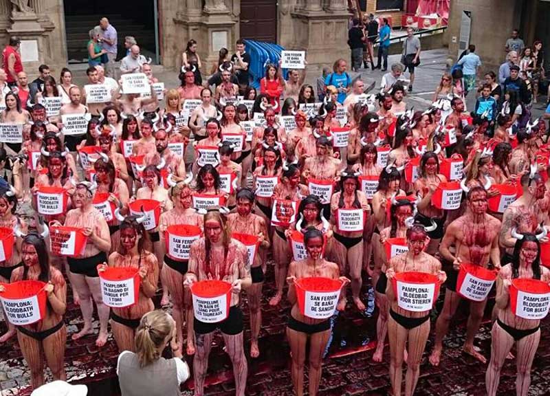 Corsa dei tori a Pamplona: La Veg Daniela Martani si copre di sangue Corsa dei tori a Pamplona: La Veg Daniela Martani si copre di sangue