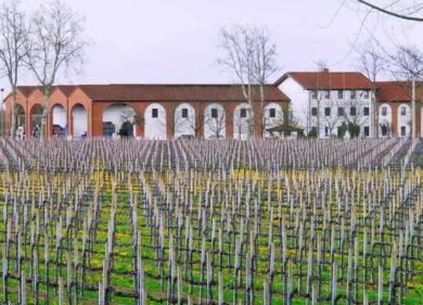 Mazzolada: a Portogruaro il vino incontra la voce