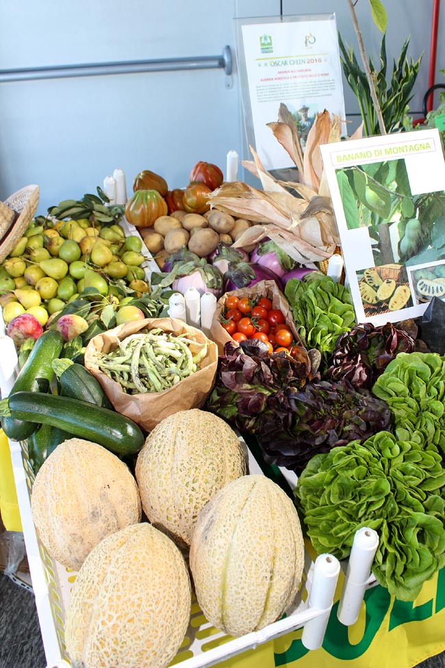 Stalle tascabili e banane di montagna: ecco gli oscar dell’agricoltura Stalle tascabili e banane di montagna: ecco gli oscar dell’agricoltura