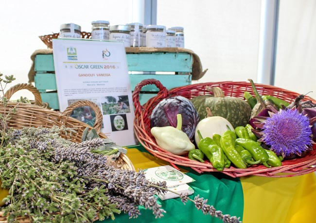 Stalle tascabili e banane di montagna: ecco gli oscar dell’agricoltura Stalle tascabili e banane di montagna: ecco gli oscar dell’agricoltura