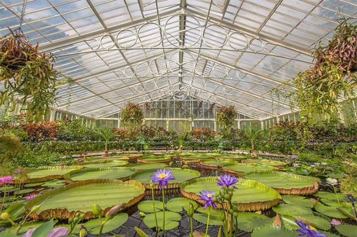 Lavorare a Londra? Come Roberta e Maurizio dalla Campania ai “Giardini Reali” Lavorare a Londra? Come Roberta e Maurizio dalla Campania ai “Giardini Reali”