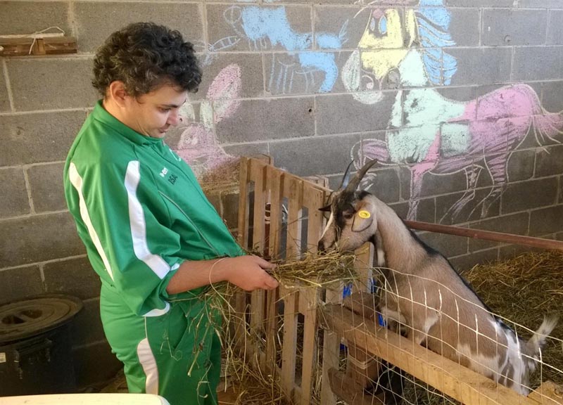 La Cavallina, fattoria sociale dove la disabilità è una ricchezza La Cavallina, fattoria sociale dove la disabilità è una ricchezza