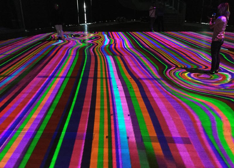 Onde Pixel: Lo Sguardo di… Miguel Chevalier al Pavilion Unicredit