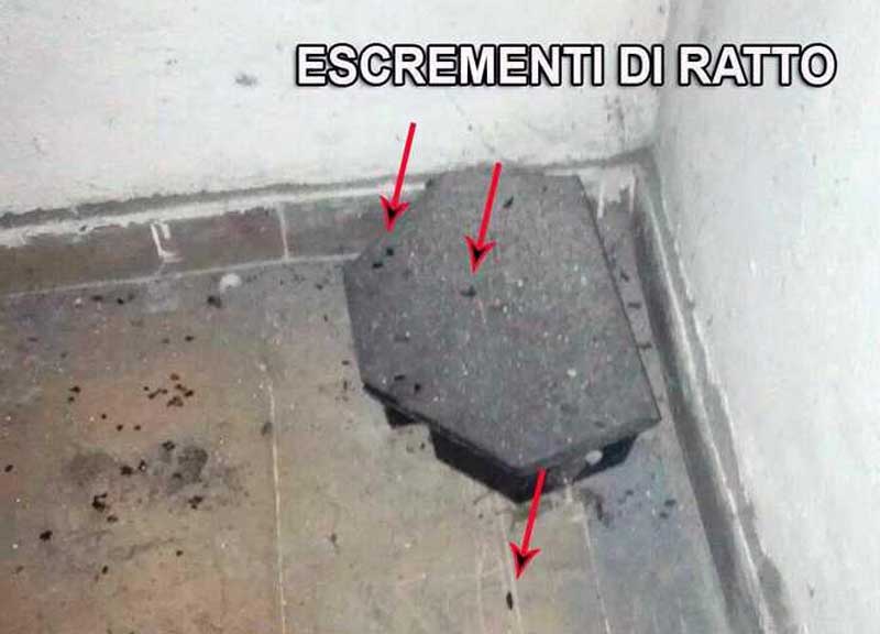 Feci di topi e trappole in un alimentari: Trastevere come nel “terzo mondo”