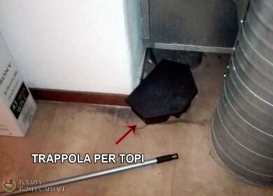 Feci di topi e trappole in un alimentari: Trastevere come nel “terzo mondo”