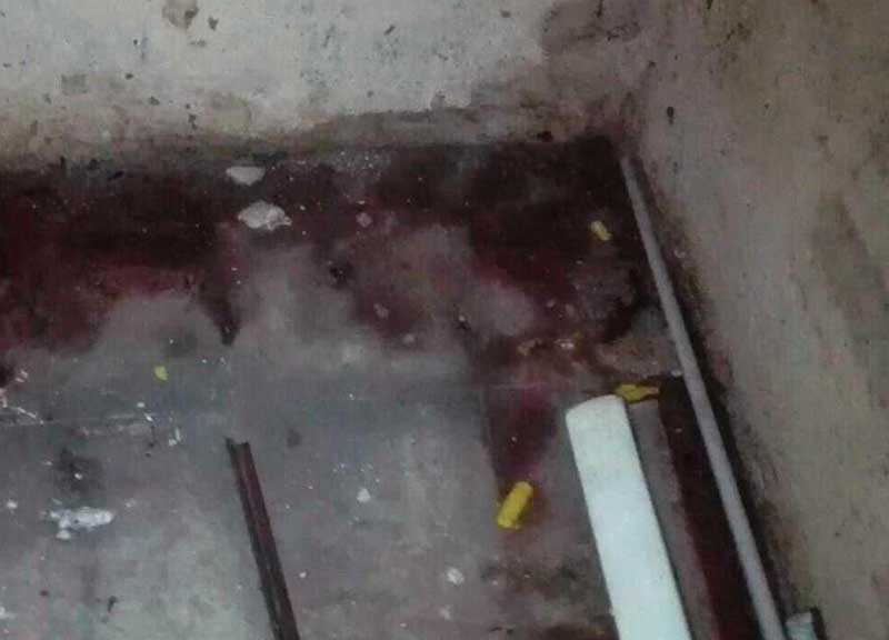 Feci di topi e trappole in un alimentari: Trastevere come nel “terzo mondo”