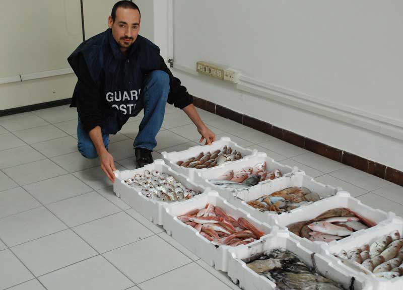 Ostia, un ristorante vende pesce scaduto: sequestri per commercio illegale Ostia, un ristorante vende pesce scaduto: sequestri per commercio illegale